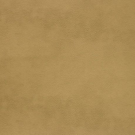 KRAVET DESIGN CASWELL.4.0 KRAVET DESIGN CASWELL-4 Fabric - Eade's Wallpaper