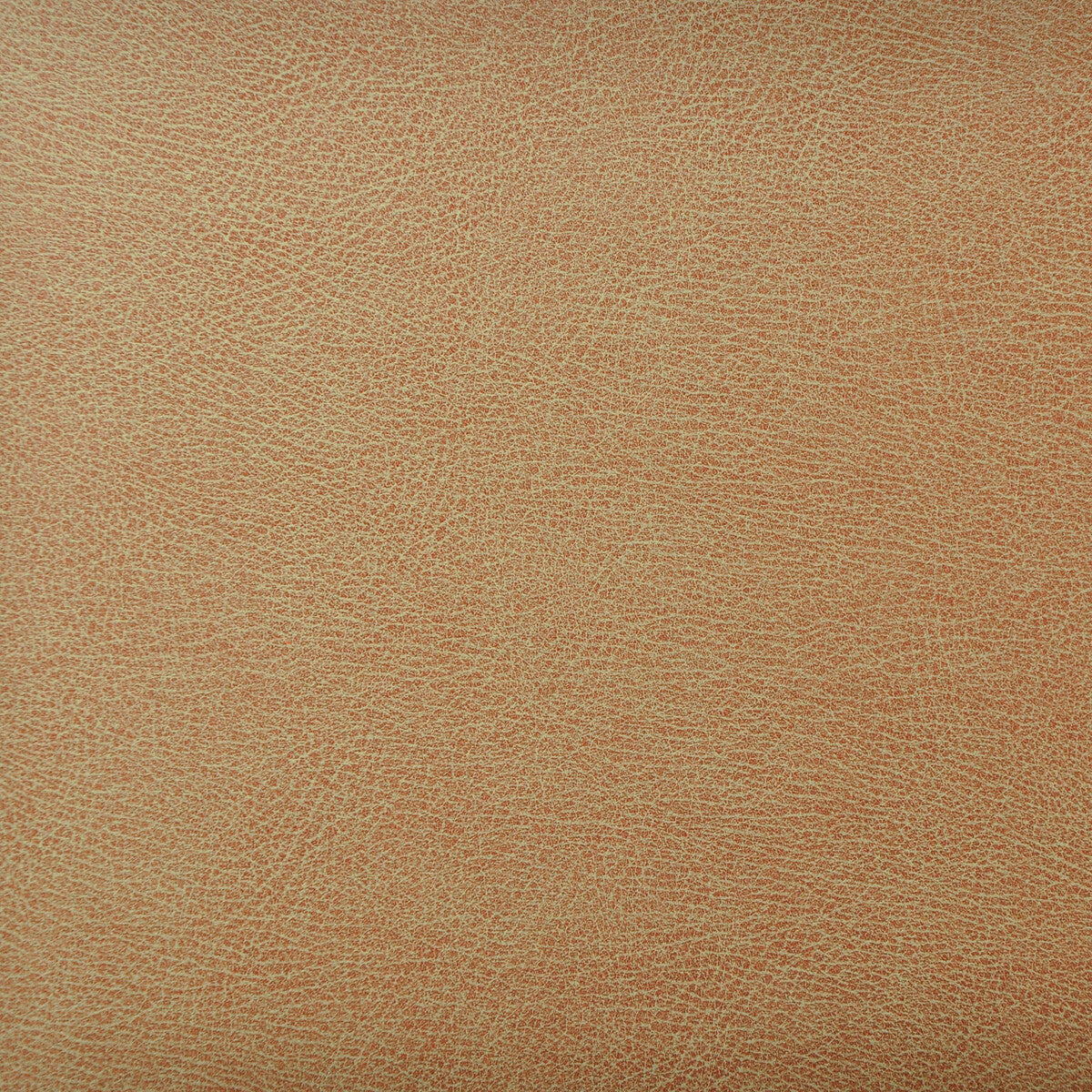 KRAVET DESIGN CASWELL.6.0 KRAVET DESIGN CASWELL-6 Fabric - Eade's Wallpaper