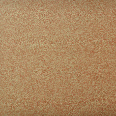 KRAVET DESIGN CASWELL.6.0 KRAVET DESIGN CASWELL-6 Fabric - Eade's Wallpaper