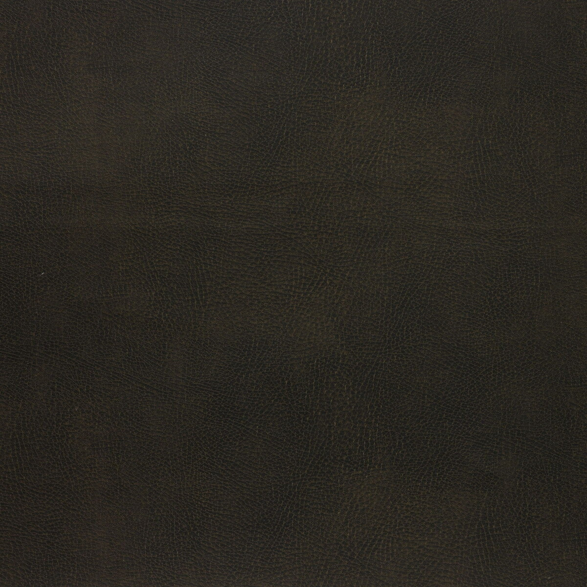 KRAVET DESIGN CASWELL.66.0 KRAVET DESIGN CASWELL-66 Fabric - Eade's Wallpaper