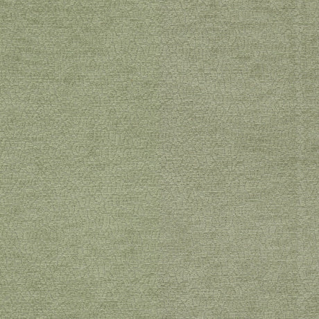 Eade's CAVA-1-sample BALSAM