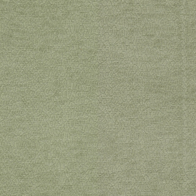 Eade's CAVA-1-sample BALSAM