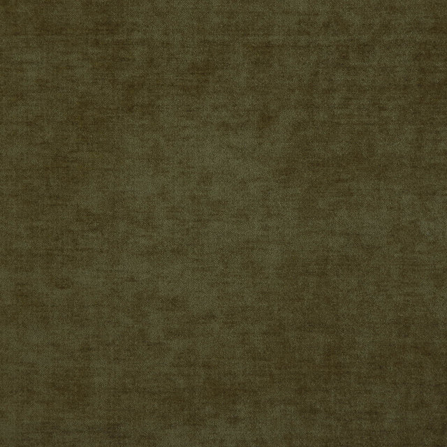 Eade’s # 1639 OLIVE
