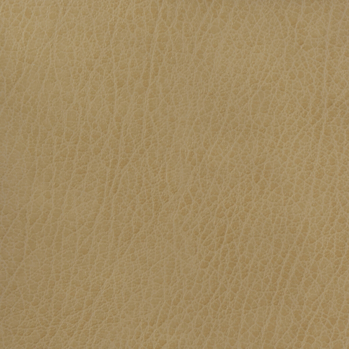 KRAVET BASICS CELINE.106.0 KRAVET BASICS CELINE-106 Fabric - Eade's Wallpaper