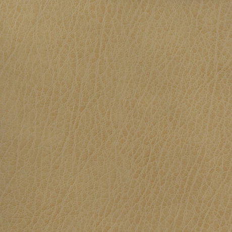 KRAVET BASICS CELINE.106.0 KRAVET BASICS CELINE-106 Fabric - Eade's Wallpaper