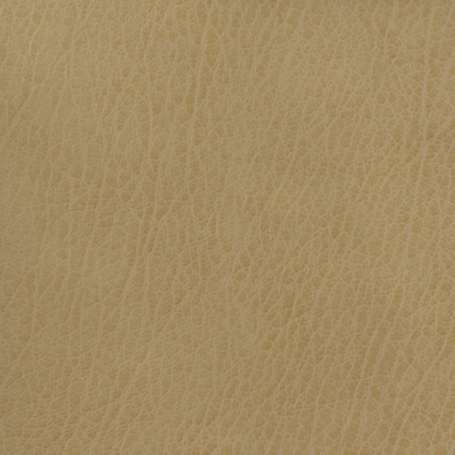 KRAVET BASICS CELINE.106.0 KRAVET BASICS CELINE-106 Fabric - Eade's Wallpaper