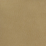 KRAVET BASICS CELINE.106.0 KRAVET BASICS CELINE-106 Fabric - Eade's Wallpaper
