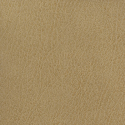 KRAVET BASICS CELINE.106.0 KRAVET BASICS CELINE-106 Fabric - Eade's Wallpaper