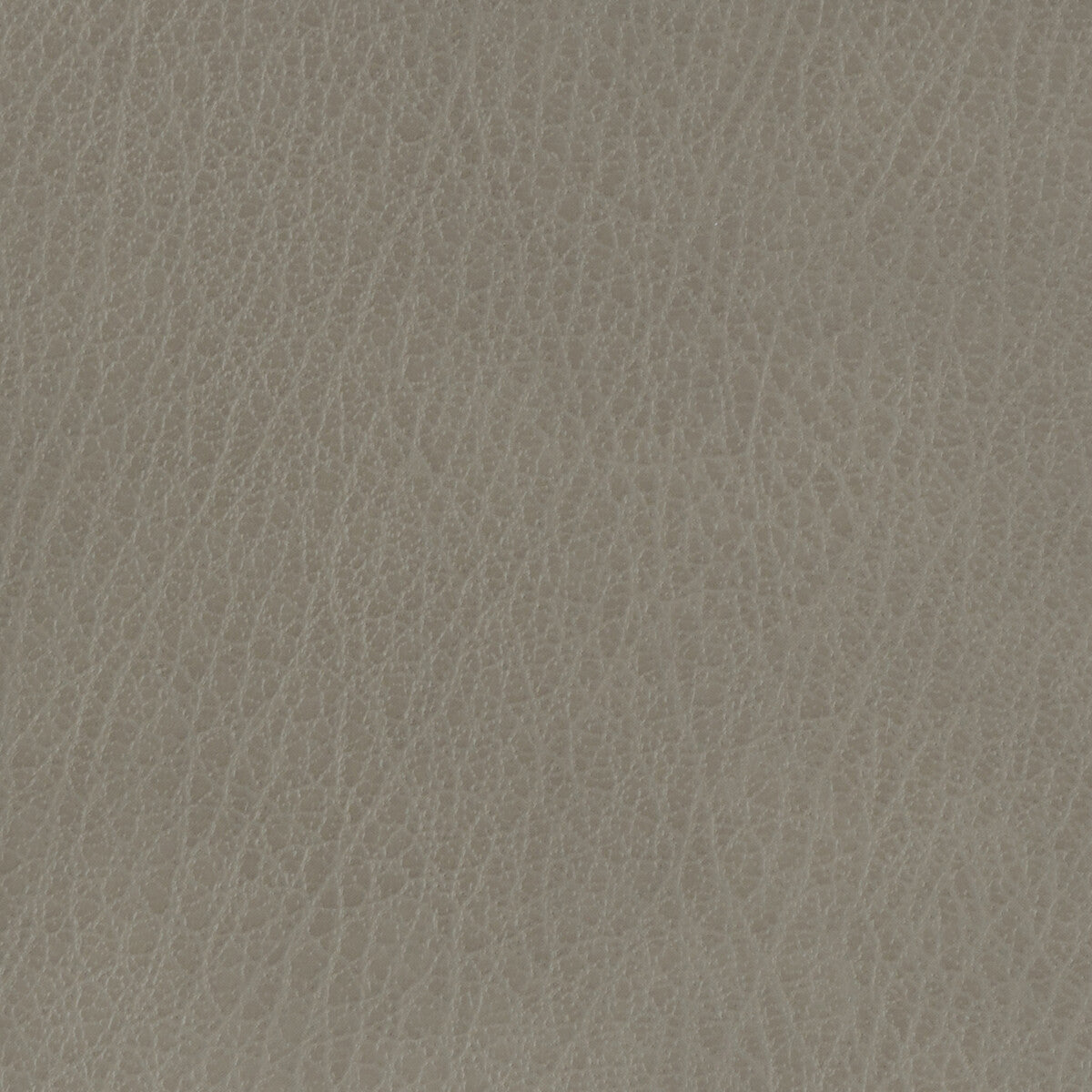 KRAVET BASICS CELINE.11.0 KRAVET BASICS CELINE-11 Fabric - Eade's Wallpaper
