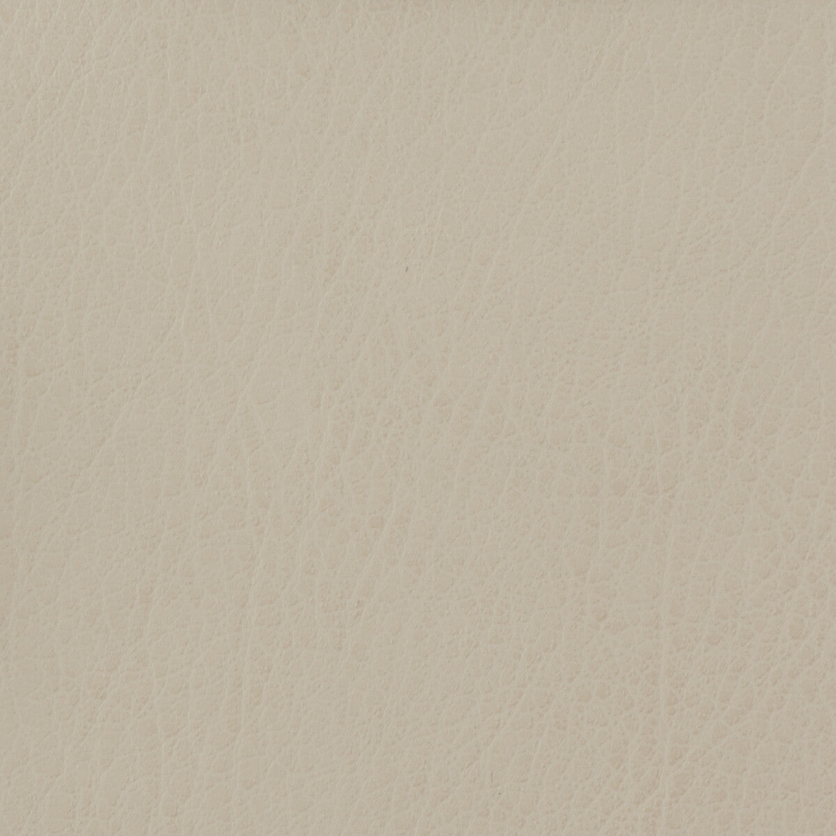 KRAVET BASICS CELINE.111.0 KRAVET BASICS CELINE-111 Fabric - Eade's Wallpaper