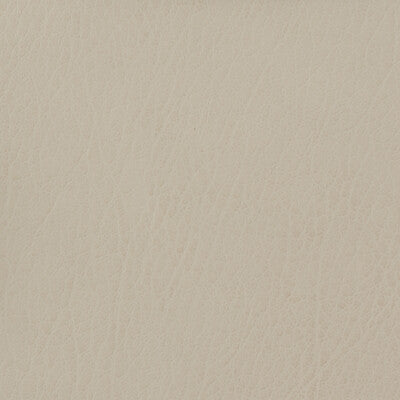 KRAVET BASICS CELINE.111.0 KRAVET BASICS CELINE-111 Fabric - Eade's Wallpaper
