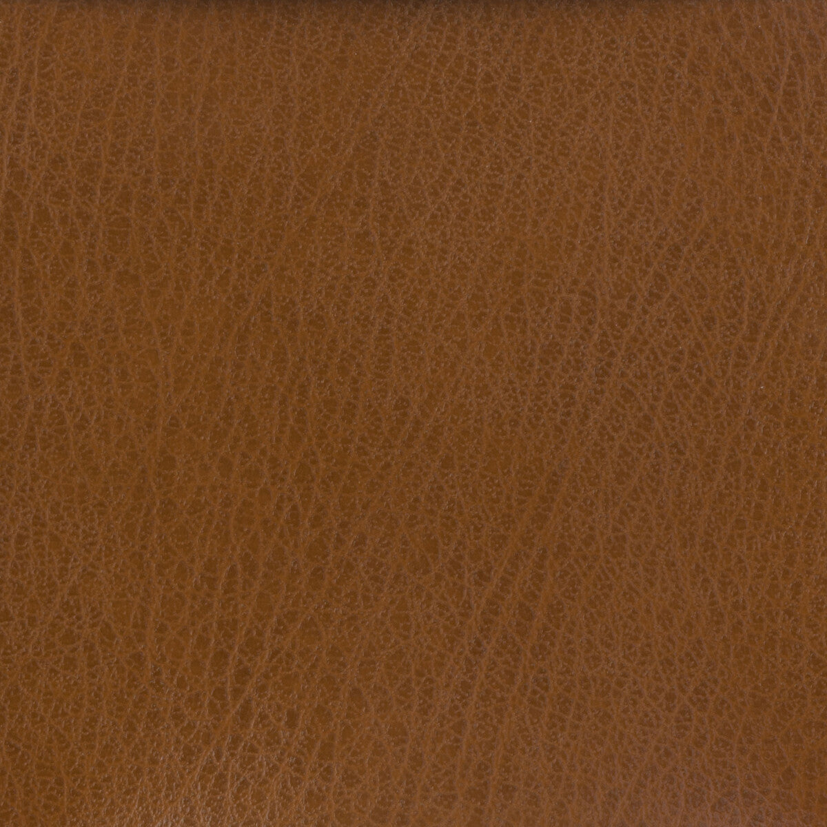KRAVET BASICS CELINE.6.0 KRAVET BASICS CELINE-6 Fabric - Eade's Wallpaper