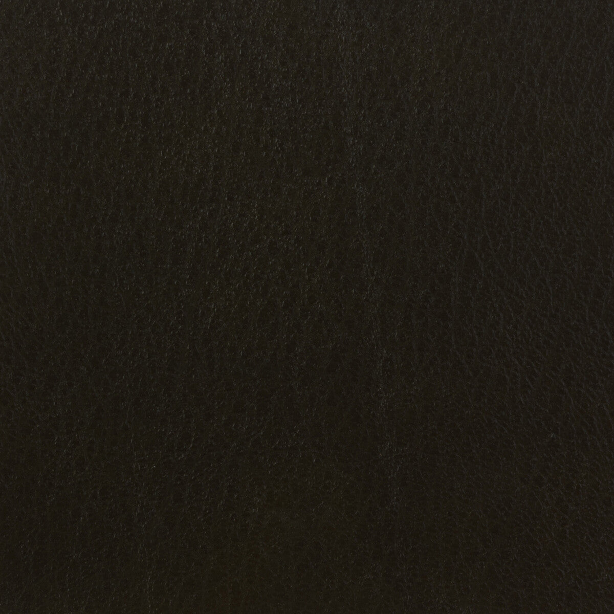 KRAVET BASICS CELINE.66.0 KRAVET BASICS CELINE-66 Fabric - Eade's Wallpaper