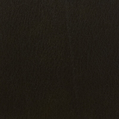 KRAVET BASICS CELINE.66.0 KRAVET BASICS CELINE-66 Fabric - Eade's Wallpaper