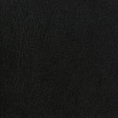 KRAVET BASICS CELINE.8.0 KRAVET BASICS CELINE-8 Fabric - Eade's Wallpaper