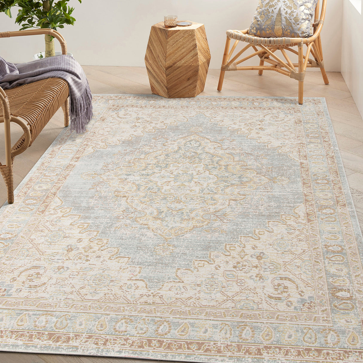 Amer Rugs CEN-11 Century Vintage Medallion /Ivory Area Rug