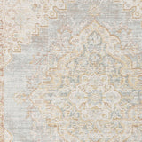 Amer Rugs CEN-11 Century Vintage Medallion /Ivory Area Rug