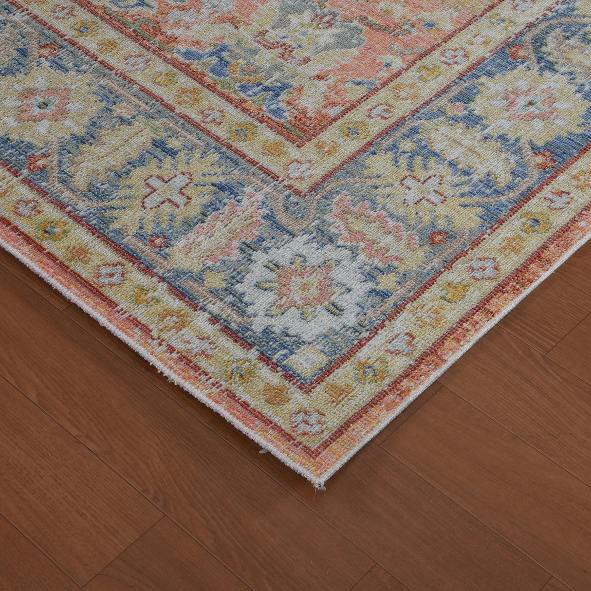 Amer Rugs CEN-16 Century Vintage Medallion Runner Rug, 2'6" X 8' Area Rug