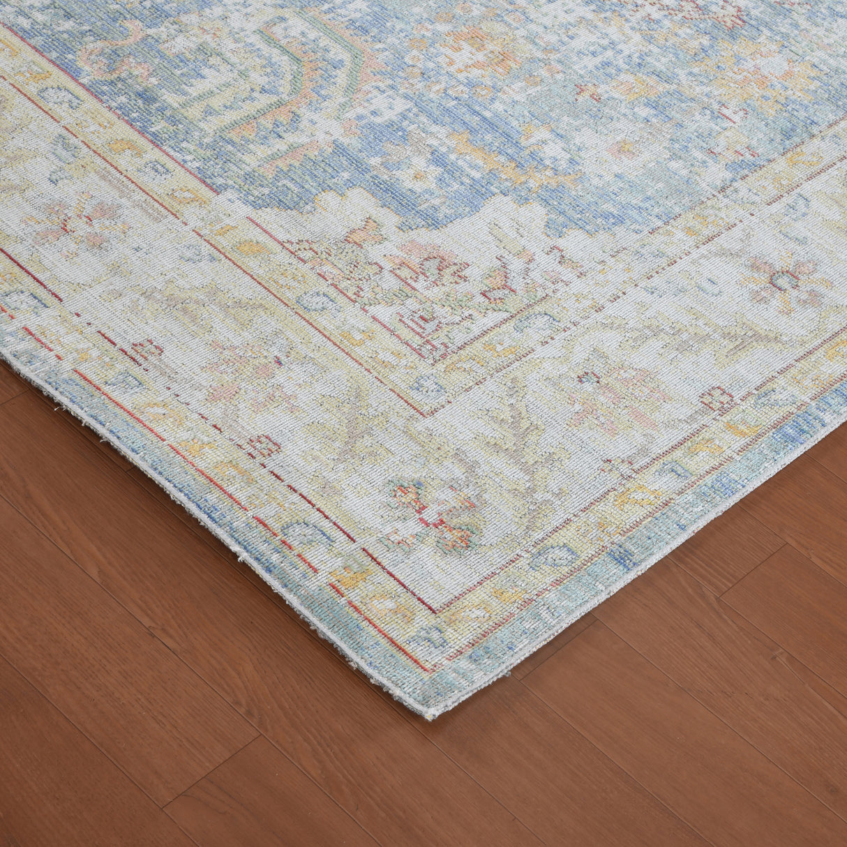 Amer Rugs CEN-18 Century Vintage Medallion /Ivory Area Rug