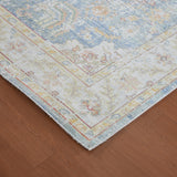 Amer Rugs CEN-18 Century Vintage Medallion /Ivory Area Rug