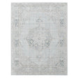 Amer Rugs CEN-21 Century Vintage Medallion Runner Rug, 2'6" X 8' Area Rug