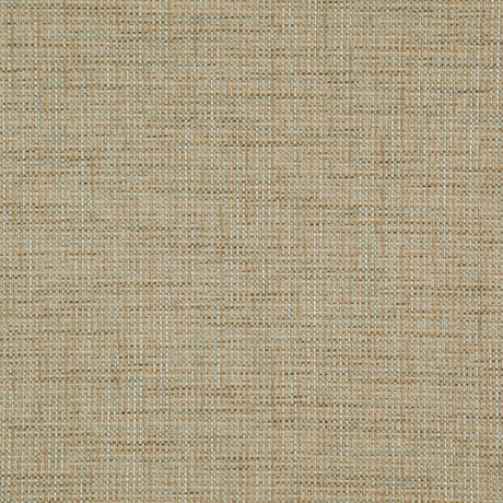 Eade’s # 510 LICHEN