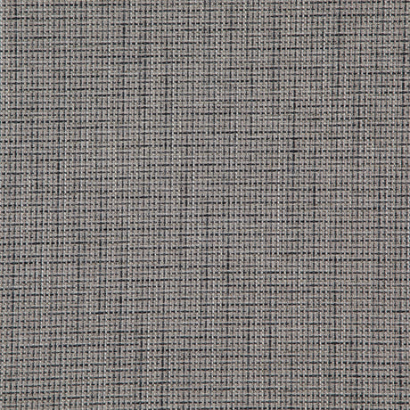 Eade’s # 547 CHINCHILLA