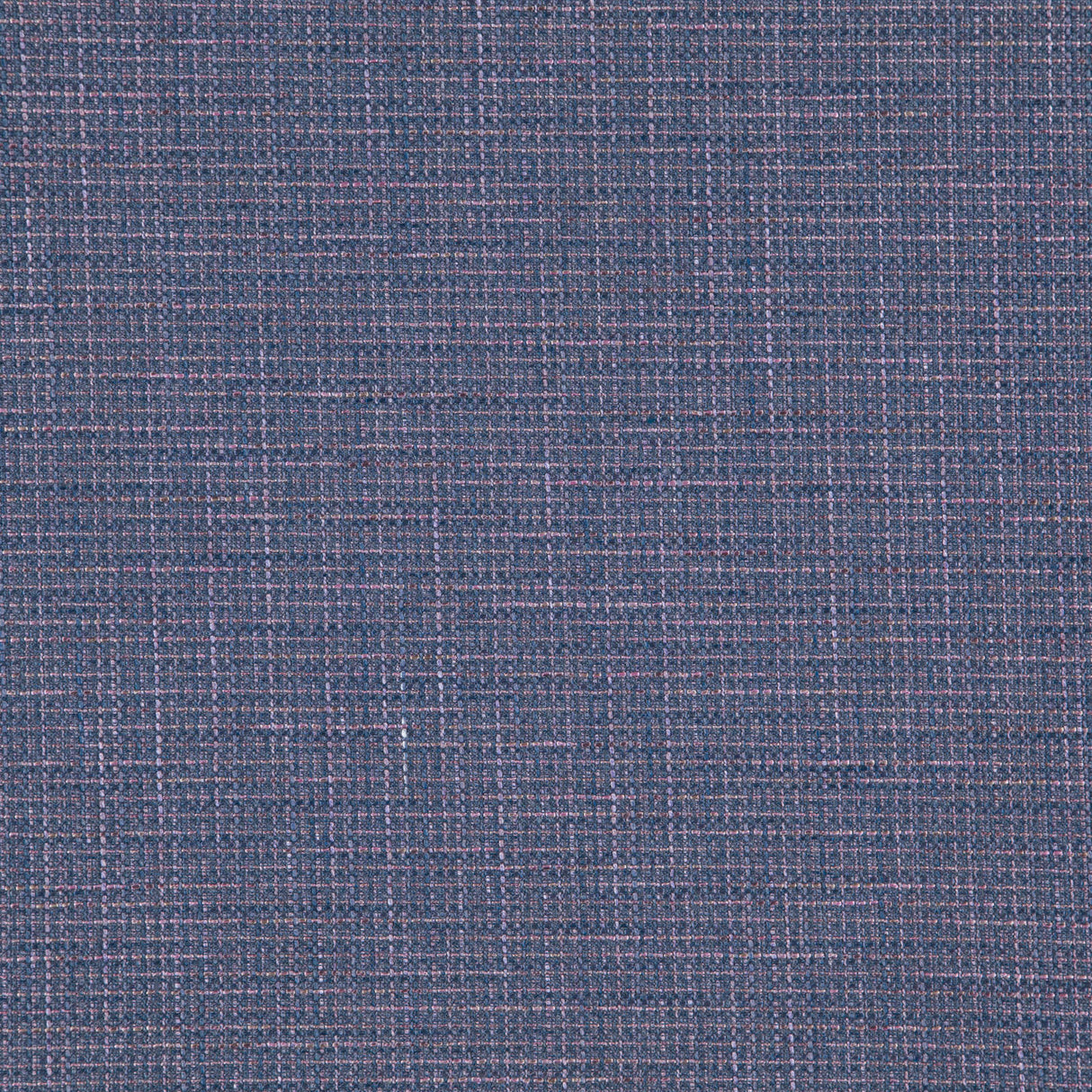 Eade’s # 563 BLACKBERRY