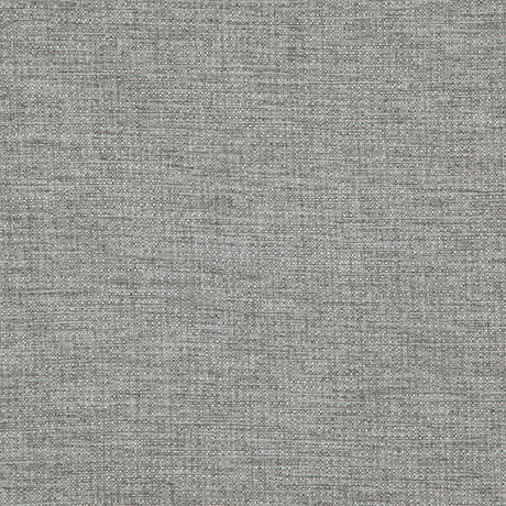 Eade’s # 504 MOUSE