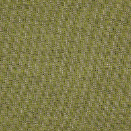 Eade’s # 520 CHAMELEON