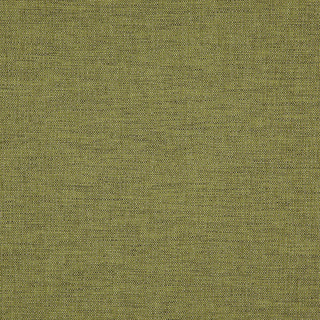 Eade’s # 520 CHAMELEON