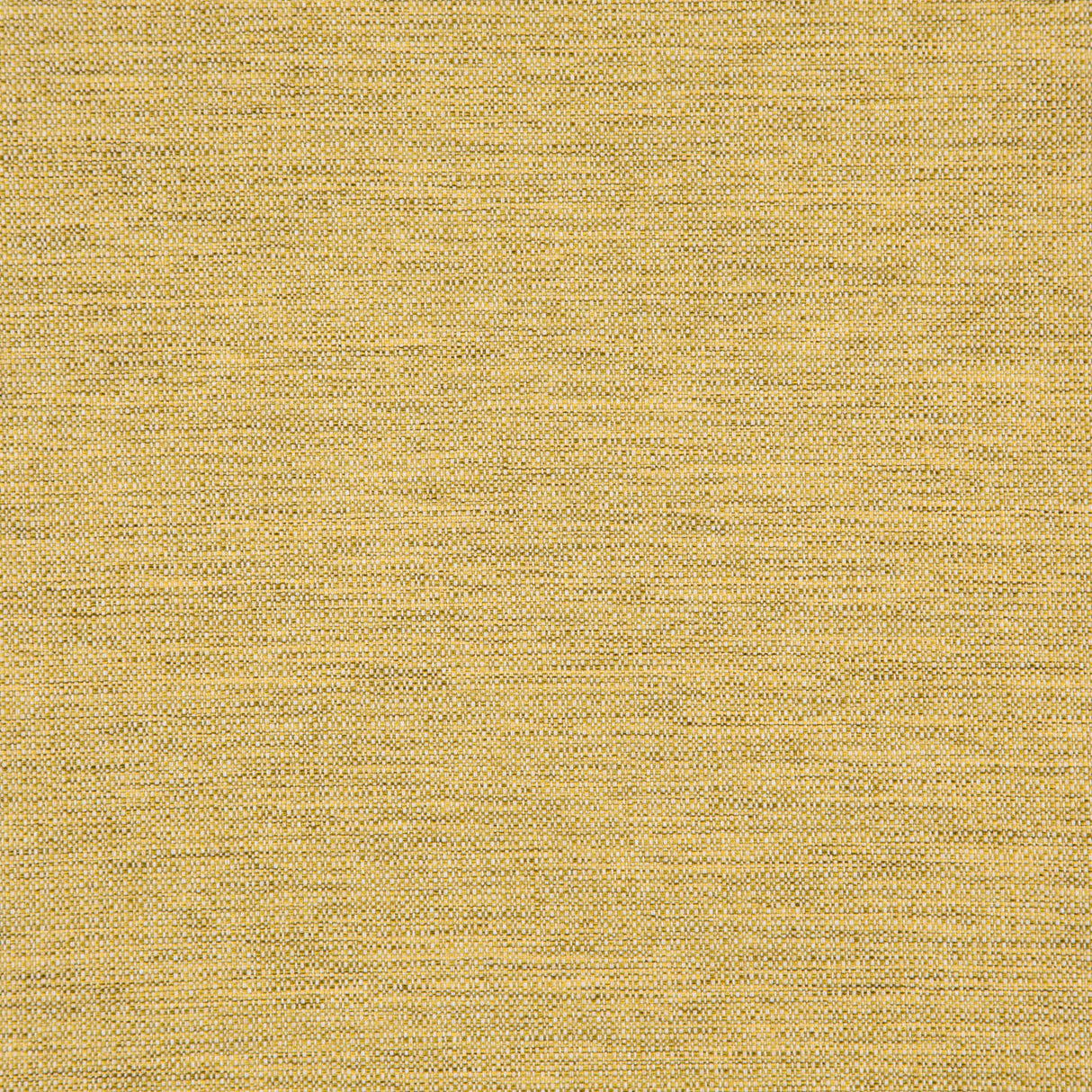 Eade’s # 524 PINEAPPLE