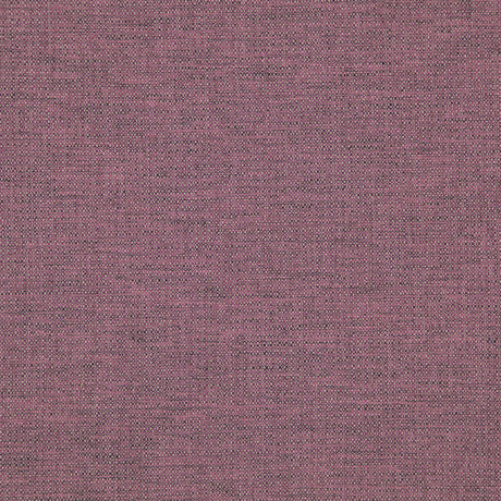 Eade’s # 533 CROCUS