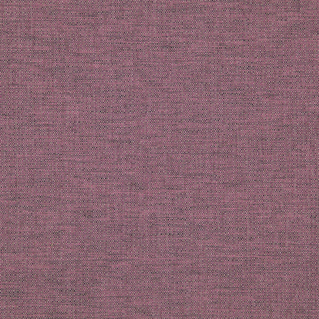 Eade’s # 533 CROCUS