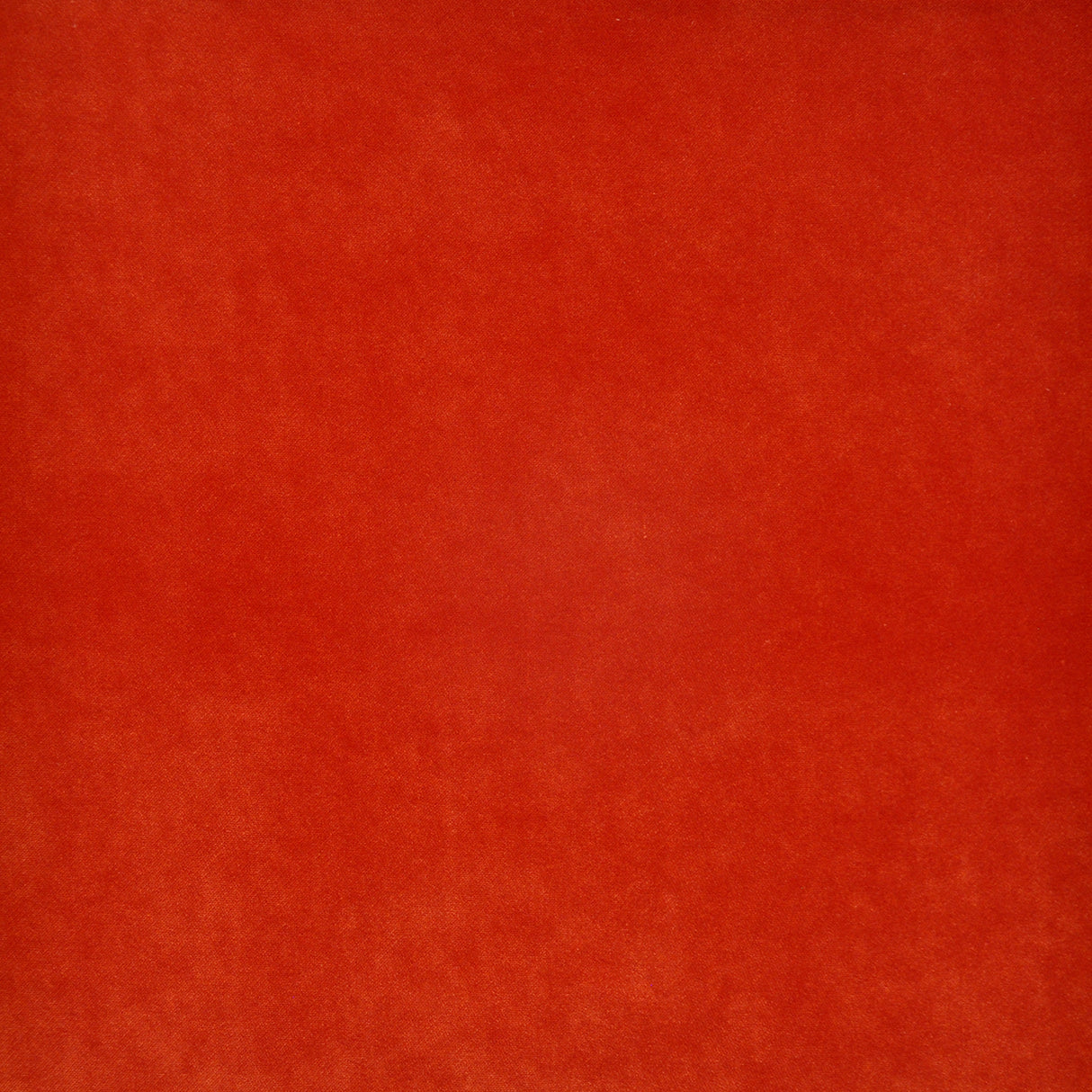 Eade’s # 727 CORAL