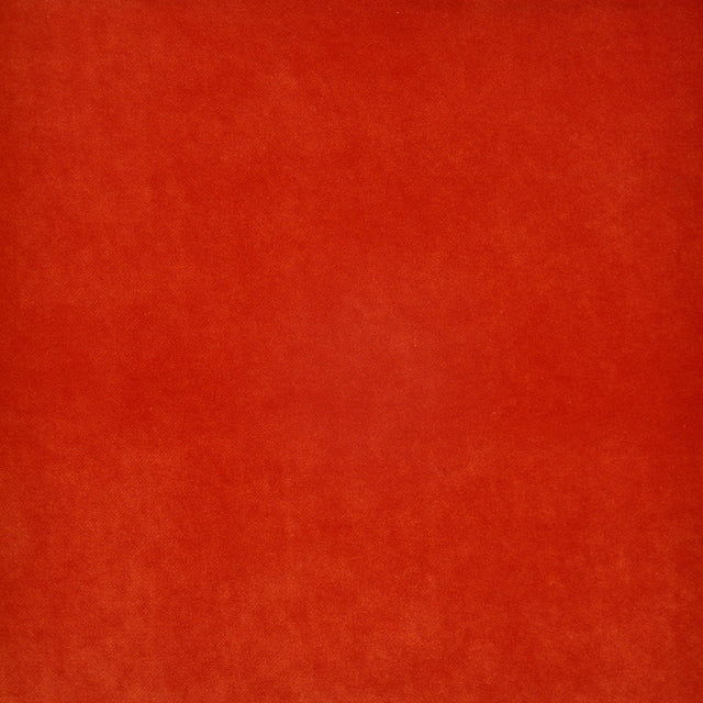 Eade’s # 727 CORAL