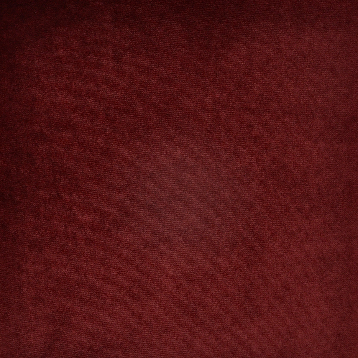 Eade’s # 732 BEET ROOT