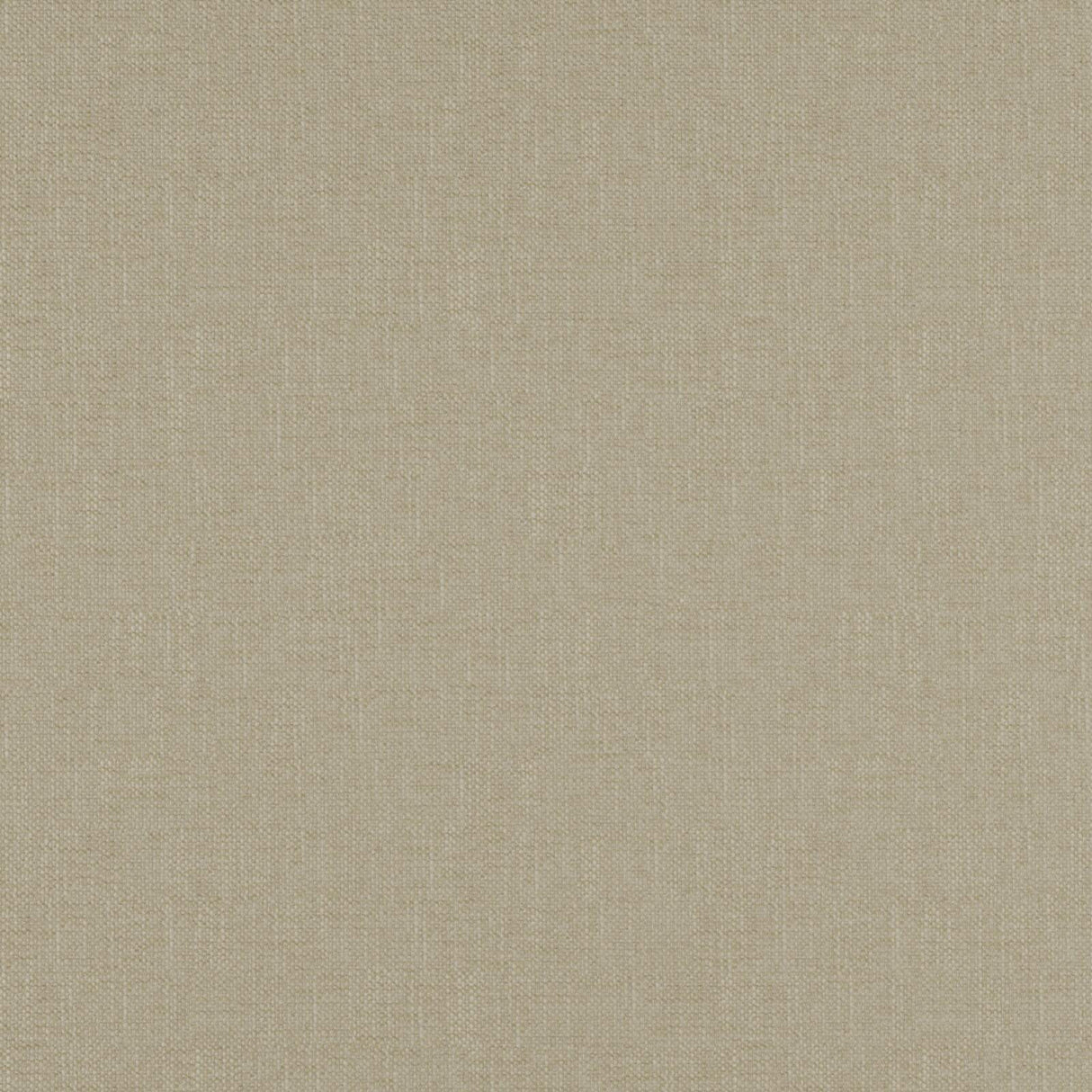 Eade’s # 17 SEAGRASS