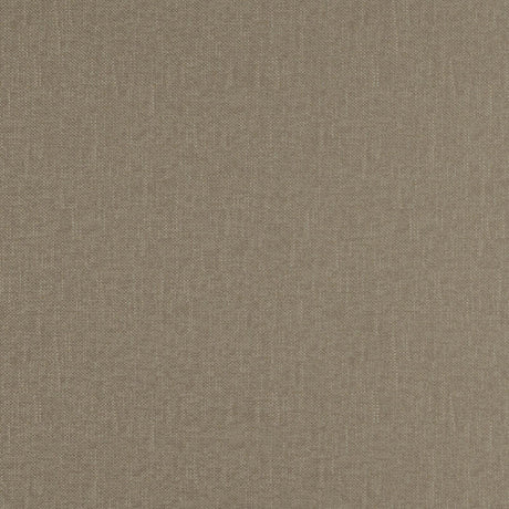 Eade’s # 20 FOSSIL