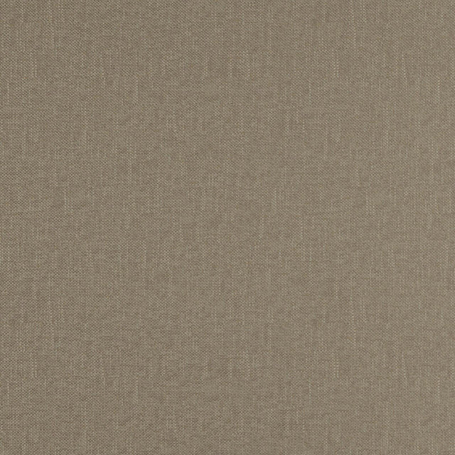 Eade’s # 20 FOSSIL