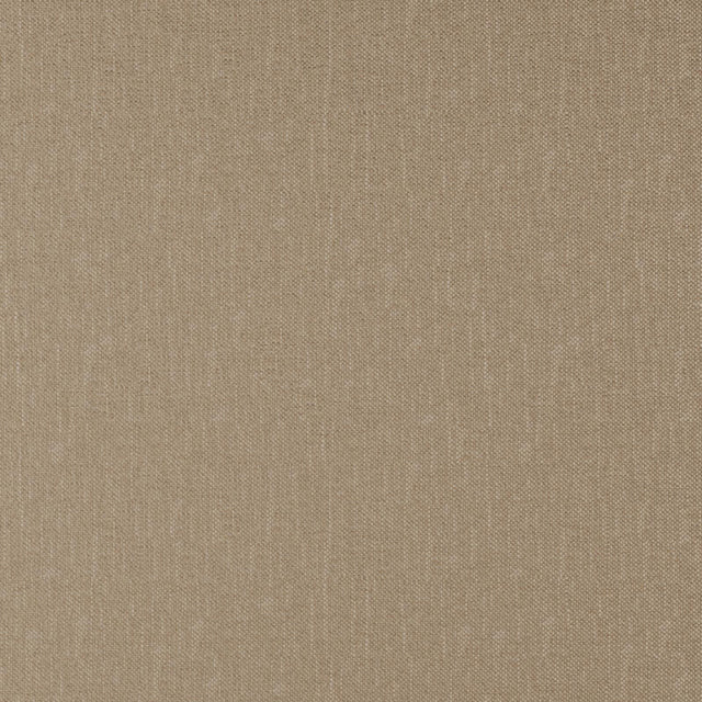 Eade’s # 25 STUCCO