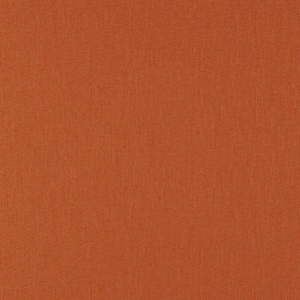 Eade’s # 32 CARROT