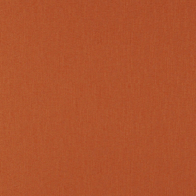 Eade’s # 32 CARROT