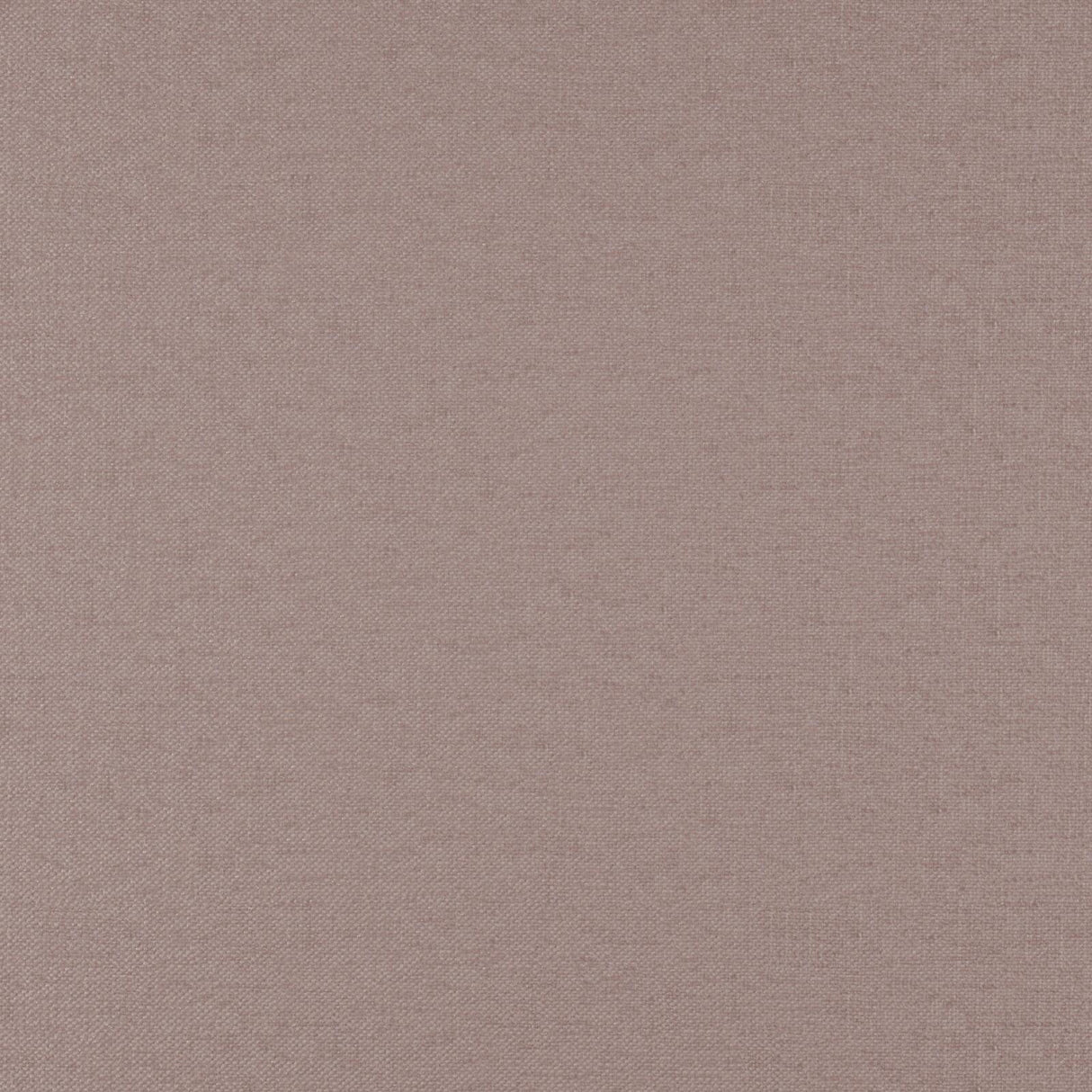 Eade’s # 39 BOUDOIR