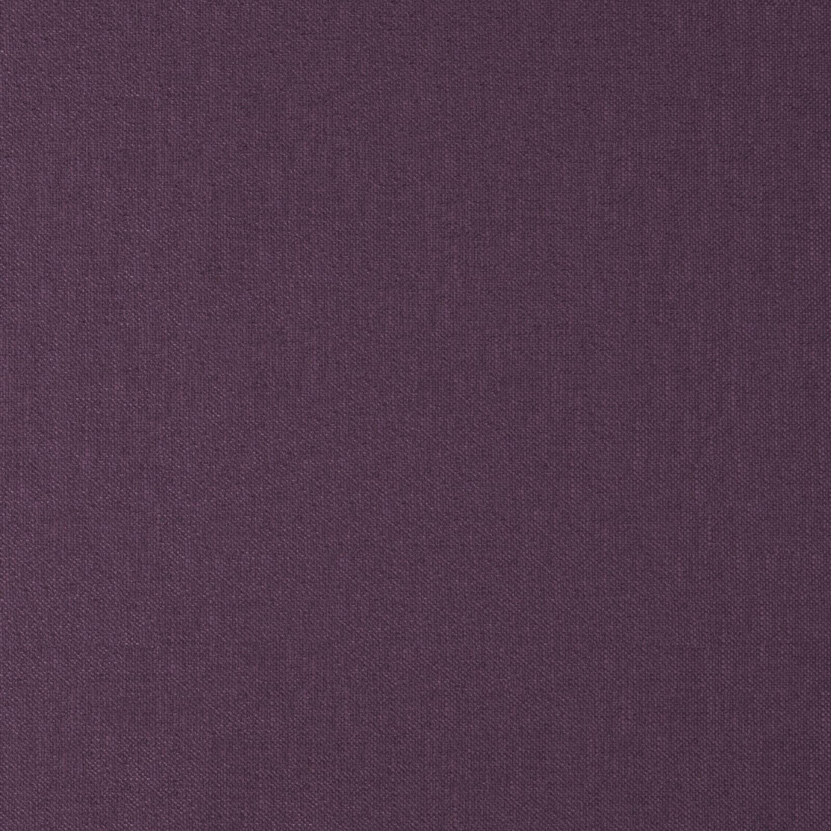 Eade’s # 40 VIOLET