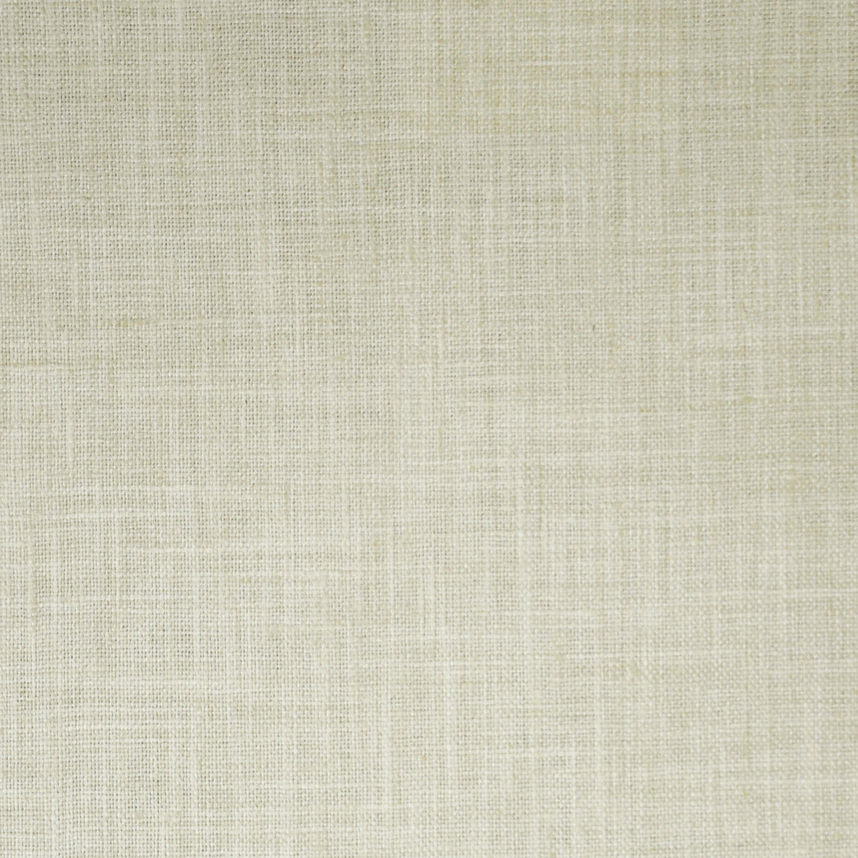 Eade’s # 555 PARCHMENT