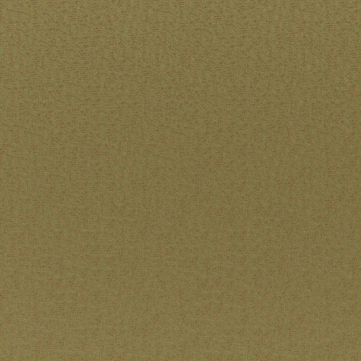 Eade’s # 739 OLIVE