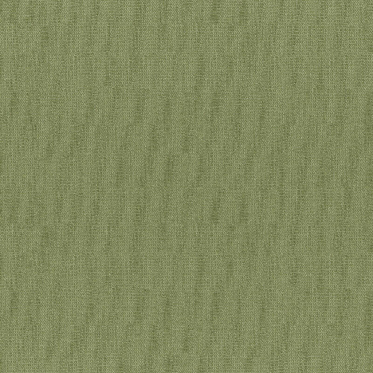 Eade’s # 831 ALOE