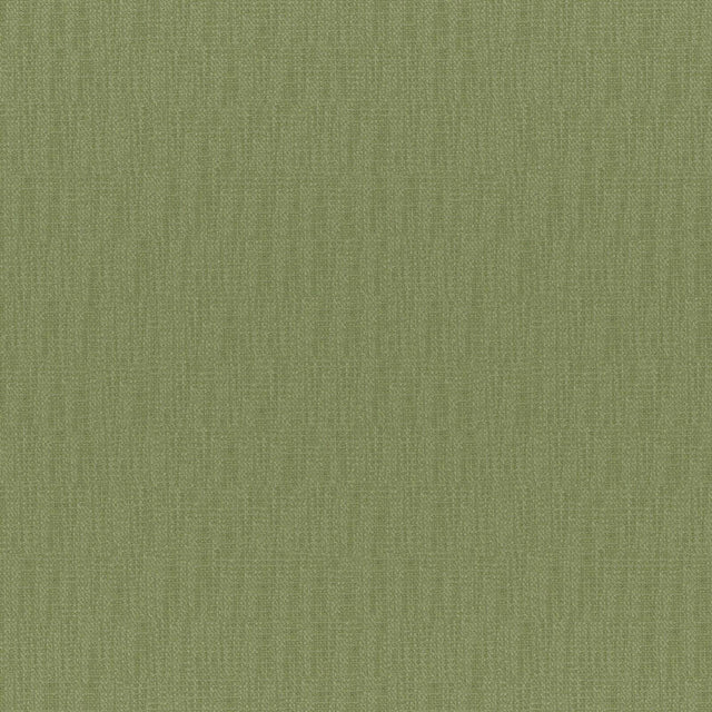 Eade’s # 831 ALOE