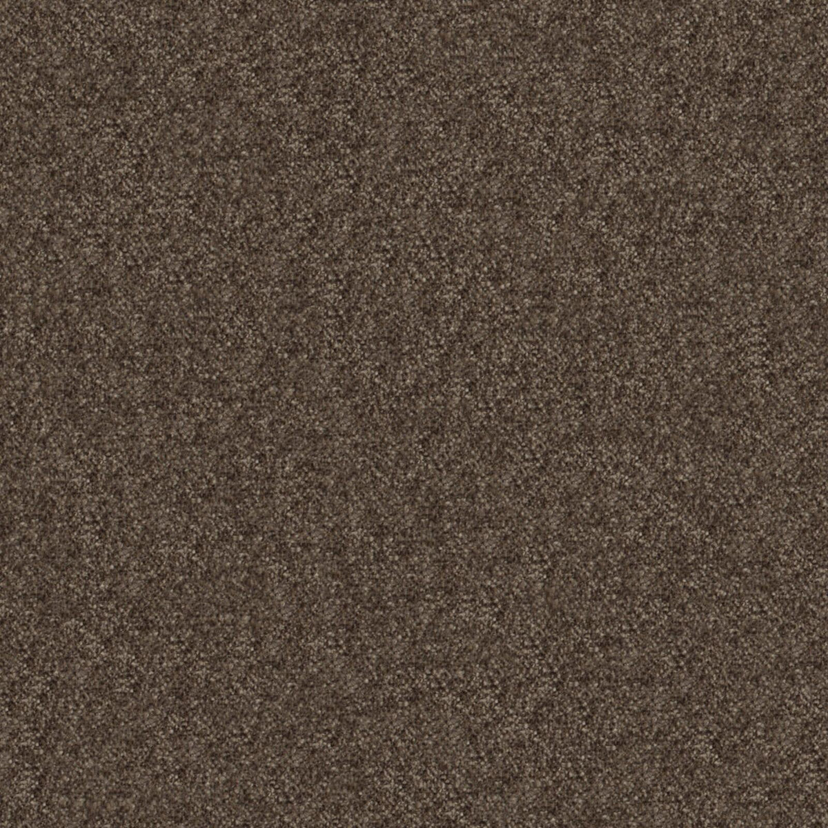 Maxwell CHM442 CALABRIA # 442 BEAVER Fabric - Eade’s – Eades Wallpaper ...